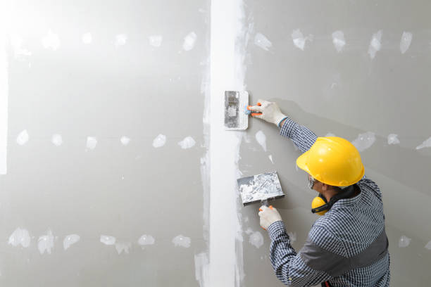 Best Industrial Mold Remediation  in Cashmere, WA