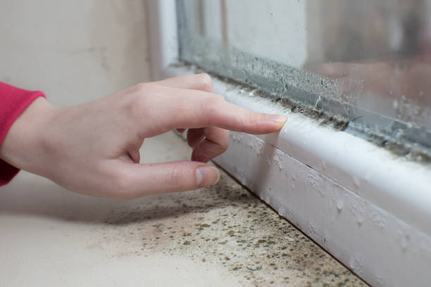 Best Indoor Air Quality Assessment  in Cashmere, WA