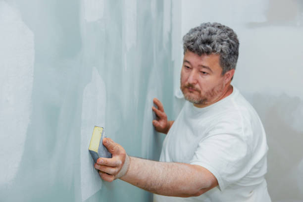 Best Mold Damage Restoration  in Cashmere, WA
