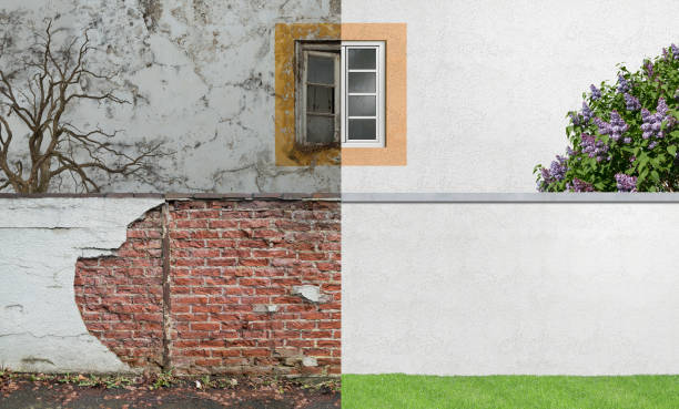  Cashmere, WA Mold Removal Pros