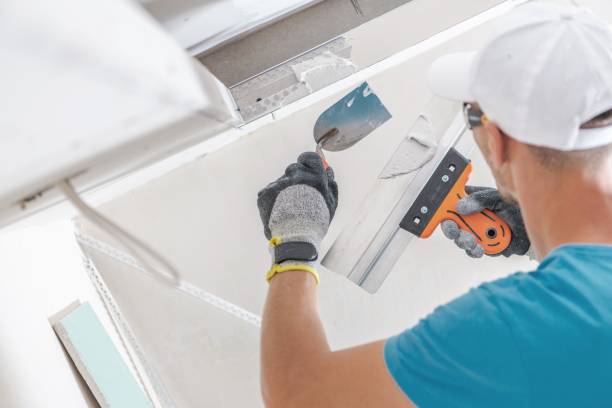 Best Commercial Mold Inspection  in Cashmere, WA